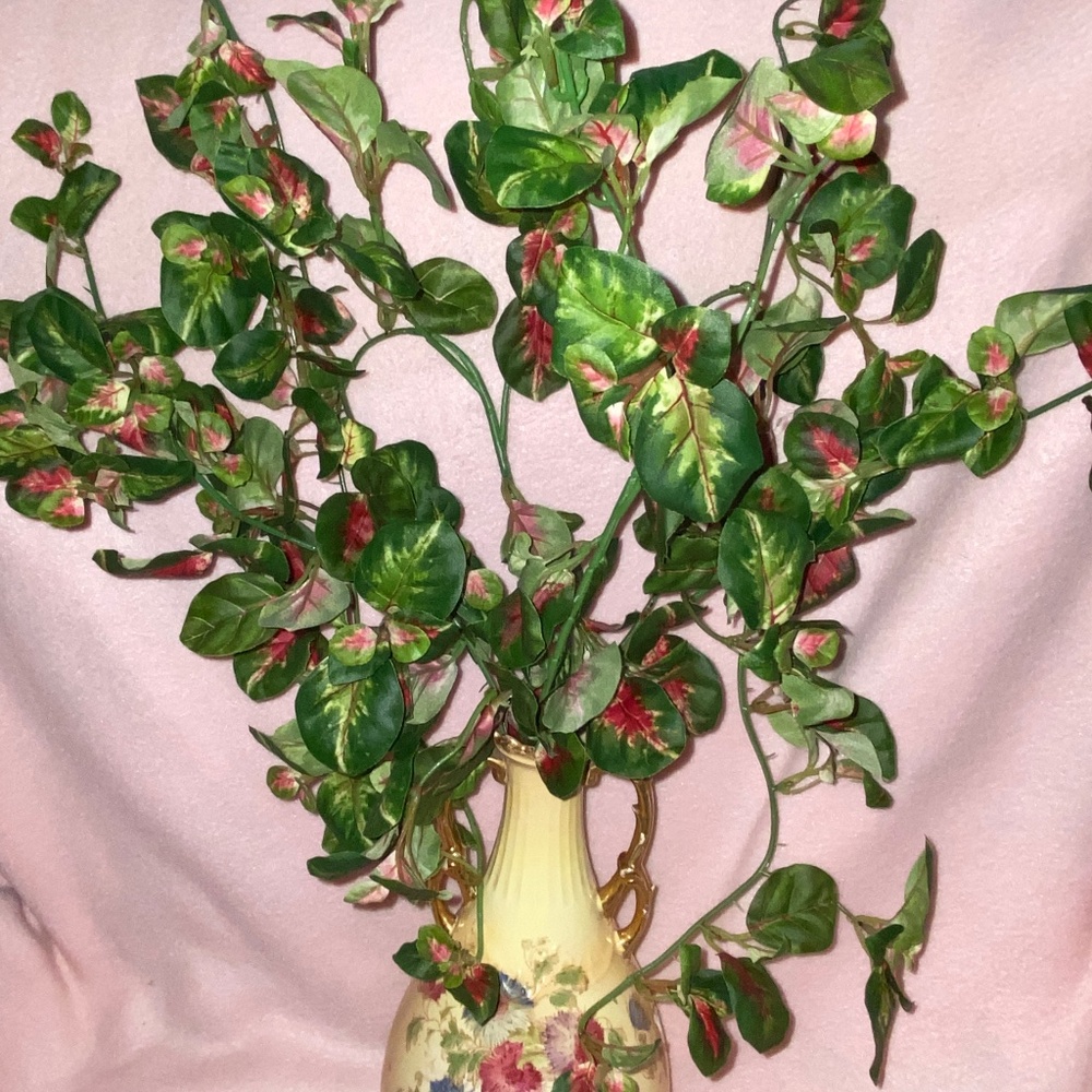 Japanese Privet Bush/Vine. Set/2